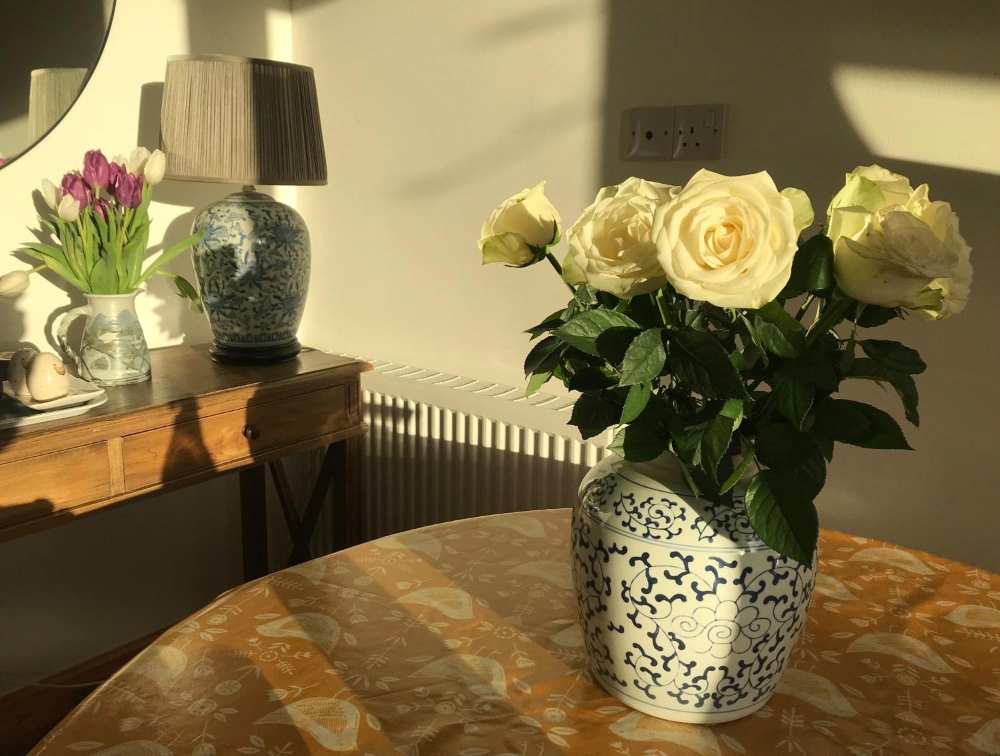 City Central Quiet Garden Apartment With Free Parking Inverness Extérieur photo