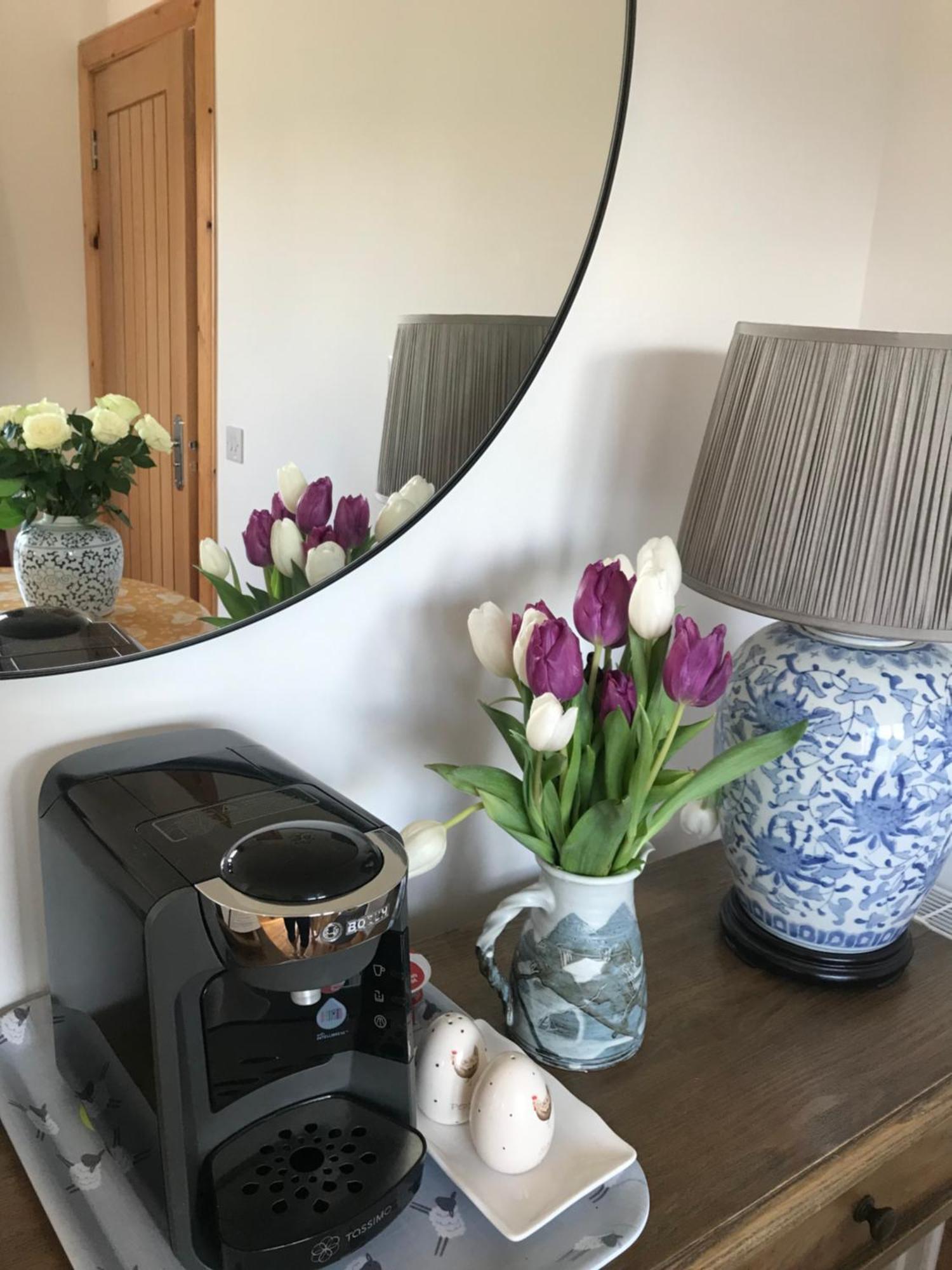 City Central Quiet Garden Apartment With Free Parking Inverness Extérieur photo