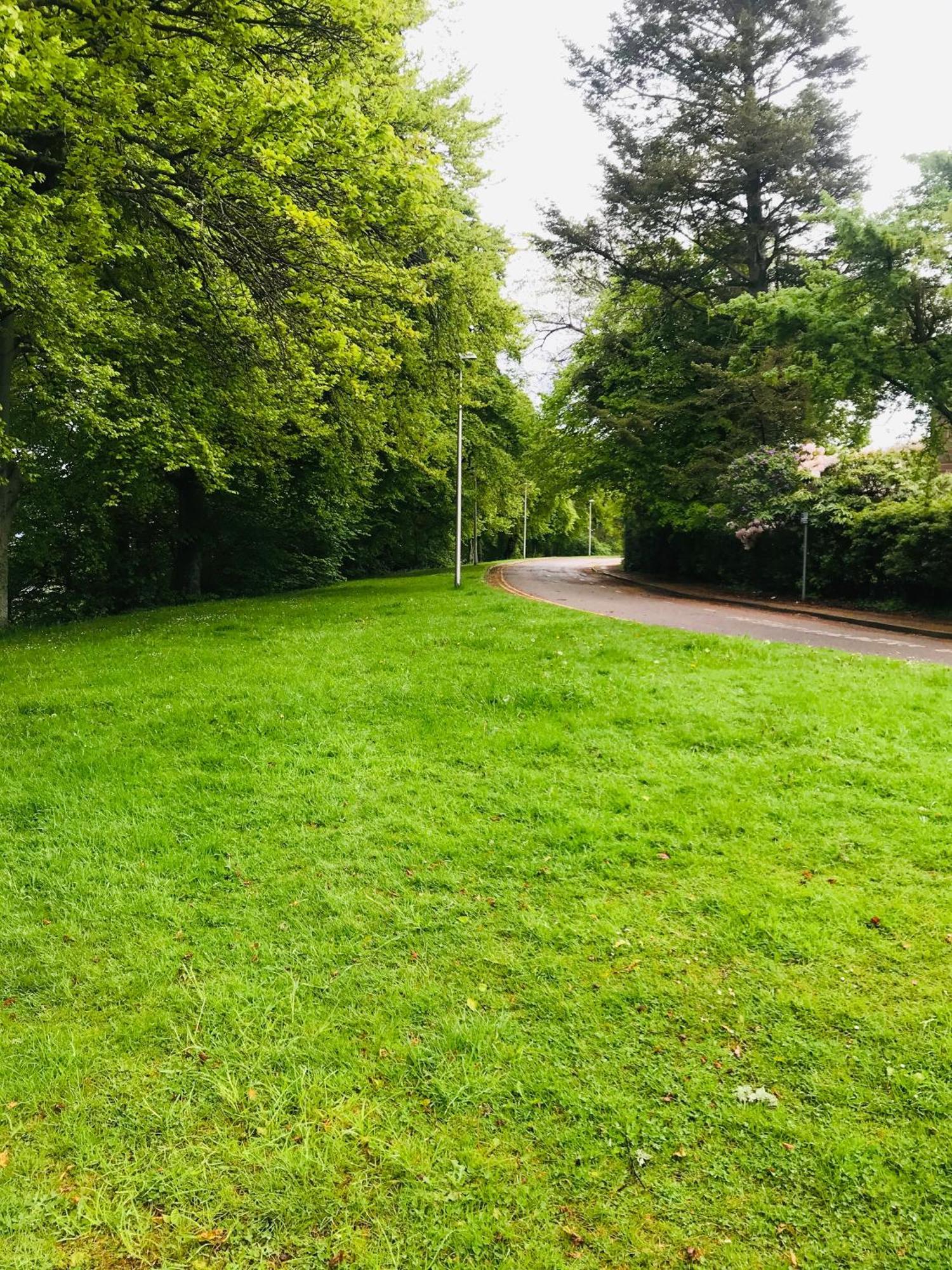 City Central Quiet Garden Apartment With Free Parking Inverness Extérieur photo